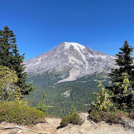 New Modern Cabin! 5Mi To Mt Rainier National Park! Hot Tub & Wifi Эшфорд Экстерьер фото