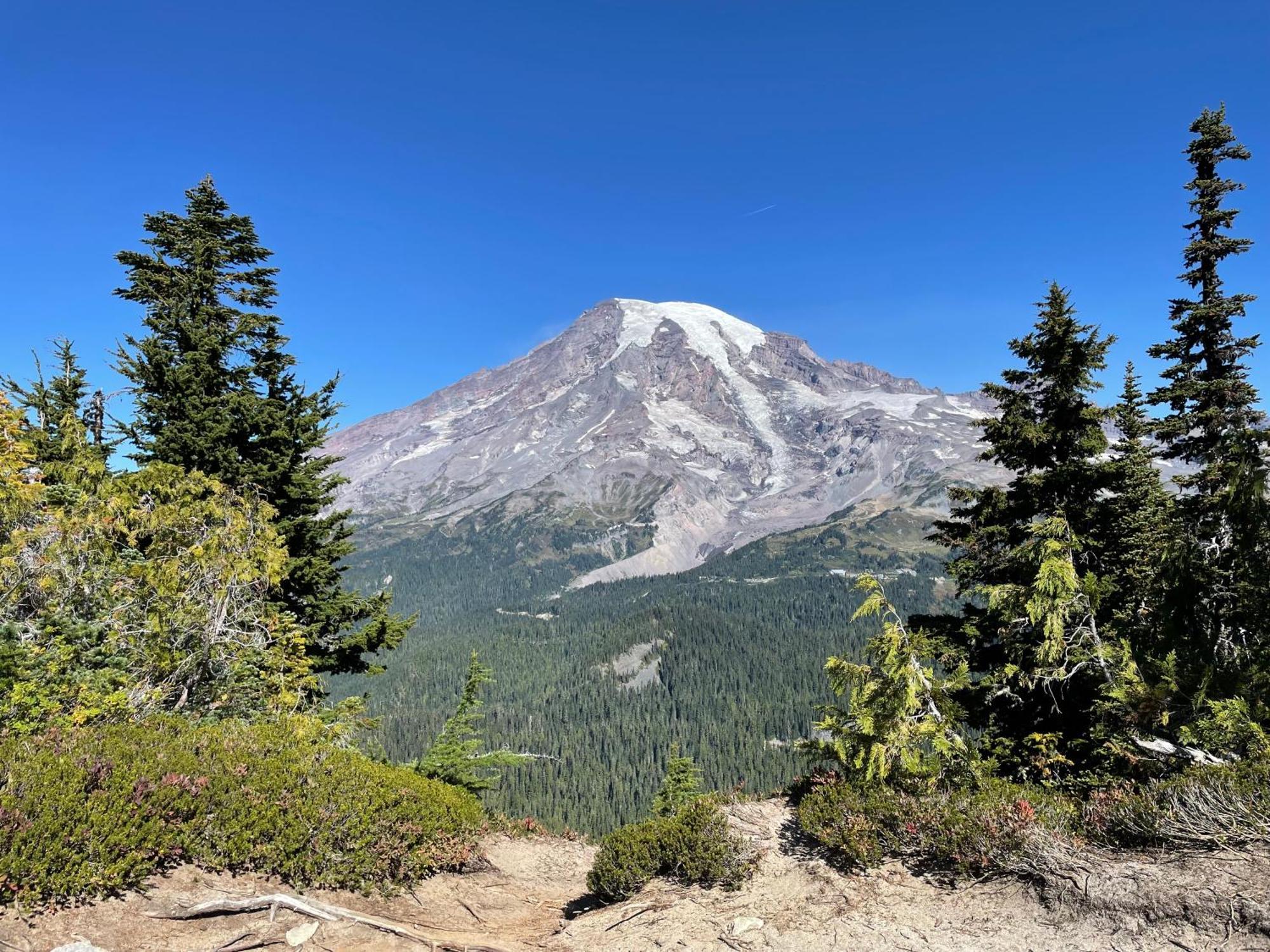 New Modern Cabin! 5Mi To Mt Rainier National Park! Hot Tub & Wifi Эшфорд Экстерьер фото
