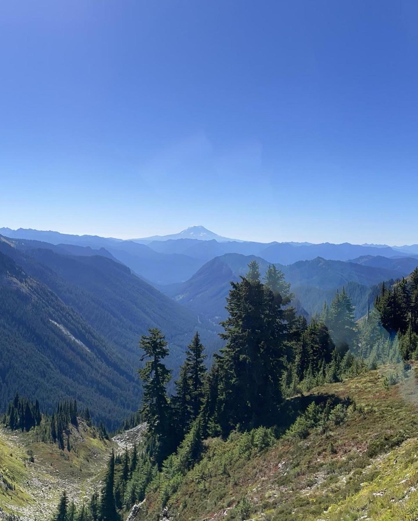 New Modern Cabin! 5Mi To Mt Rainier National Park! Hot Tub & Wifi Эшфорд Экстерьер фото